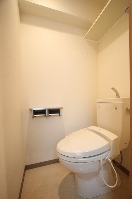 トイレ　同物件別号室の写真