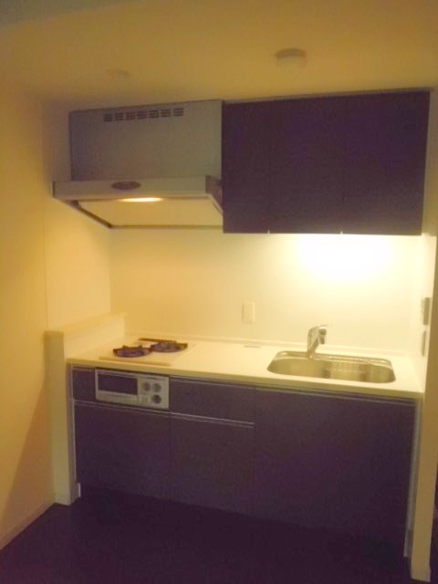 キッチン　料理の幅も広がるグリル付２口ガスシステムキッチン