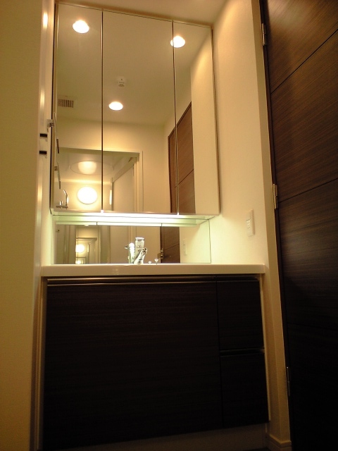 洗面設備　忙しい朝に嬉しい独立洗面化粧台