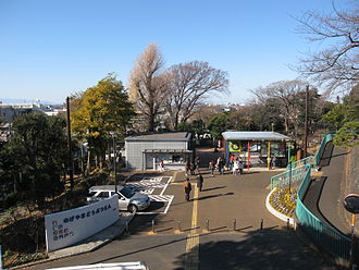 その他　野毛山動物園（その他）まで607m