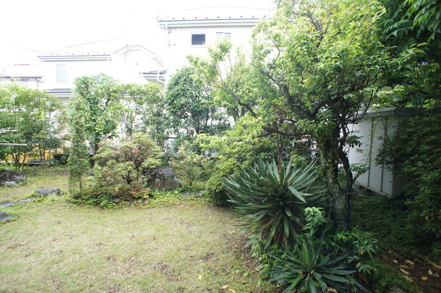 眺望　お部屋前には緑があるので、心癒されます☆