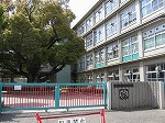 小学校　加古川市立別府小学校（小学校）まで1063m