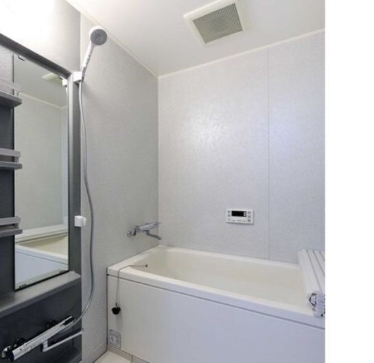 バス・シャワールーム　落ち着いた空間のお風呂です