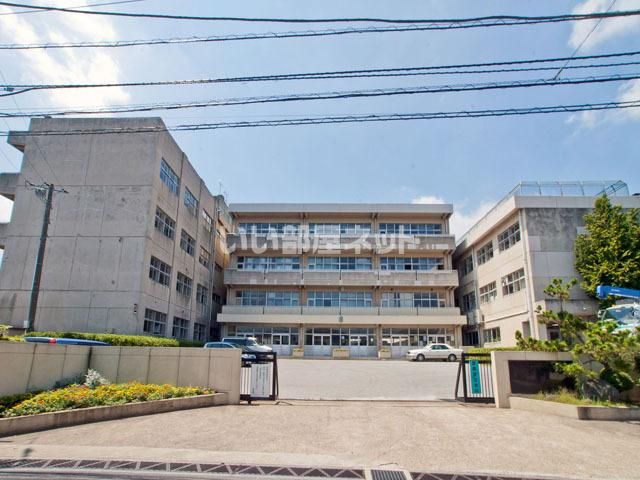 中学校　松戸市立六実中学校（中学校）まで662m