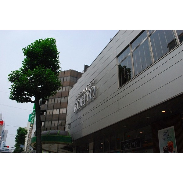スーパー　コーヨー堀江店（スーパー）まで516m