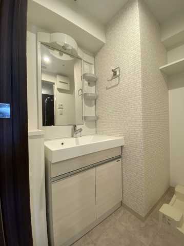 洗面設備　スカイコートグランデ大塚の洗面所