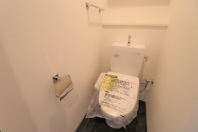 トイレ　２０３号室の写真です