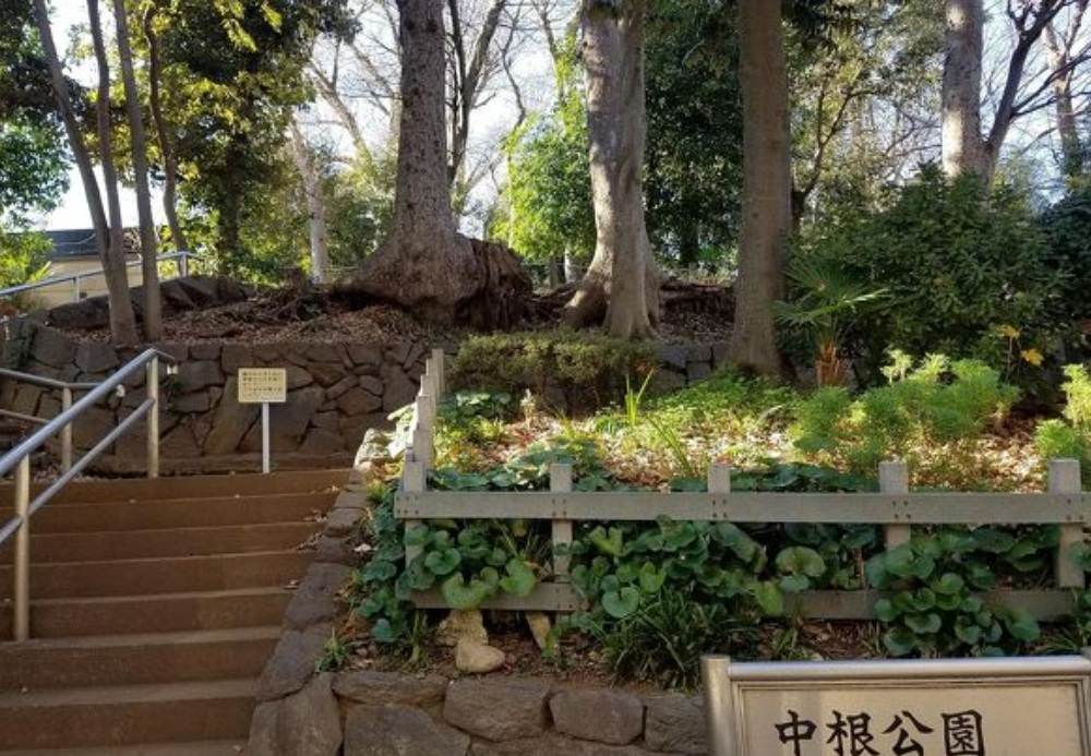 公園　中根公園（公園）まで596m