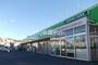 ドラックストア　ドラッグ・エース箭弓町店（ドラッグストア）まで197m
