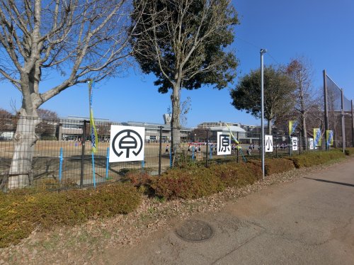 小学校　印西市立立原小学校（小学校）まで413m