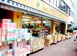 ドラックストア　どらっぐぱぱす　目白店（ドラッグストア）まで409m