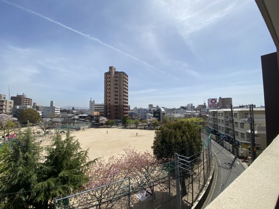 眺望　※別部屋の写真です