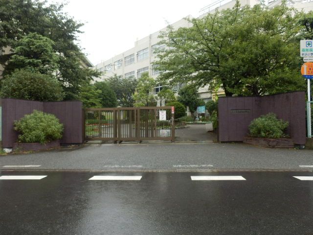 小学校　市川市立南新浜小学校（小学校）まで315m