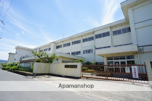 小学校　奈良市立辰市小学校（小学校）まで599m