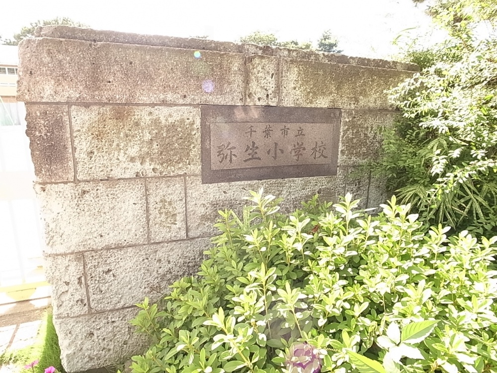 小学校　千葉市立弥生小学校（小学校）まで1359m