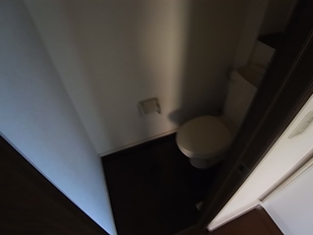 トイレ　同一物件別部屋写真