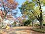 公園　美和公園（公園）まで550m