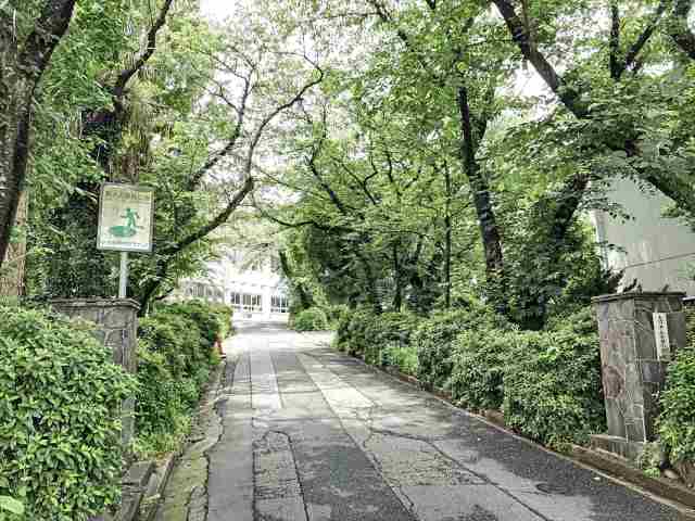 小学校　吉田小学校（小学校）まで779m