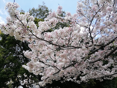 公園　三国本町公園（公園）まで500m