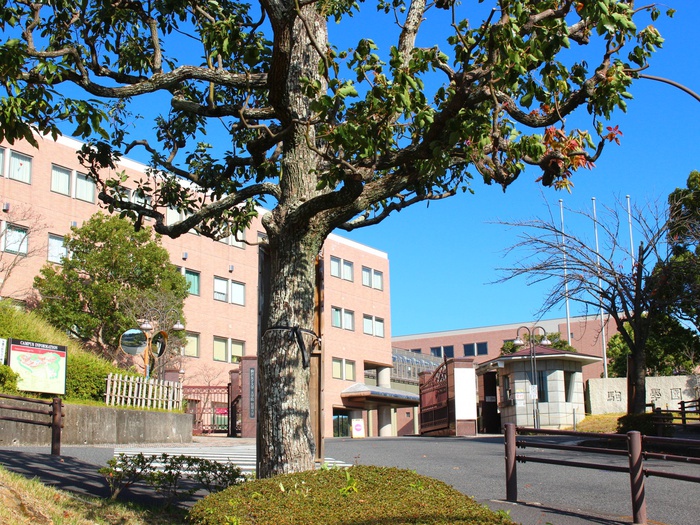 大学・短大　駒沢女子大学（大学・短大）まで801m