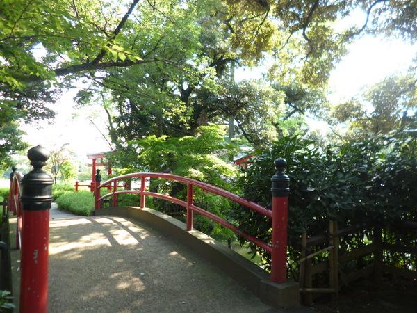 その他　洗足池公園（その他）まで541m