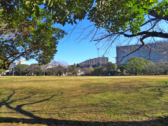 公園　稲毛東公園（公園）まで20m