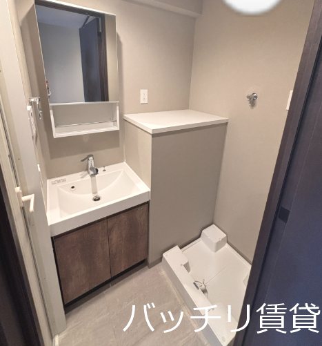 洗面設備　新築、同シリーズタイプの為、現状優先になります。