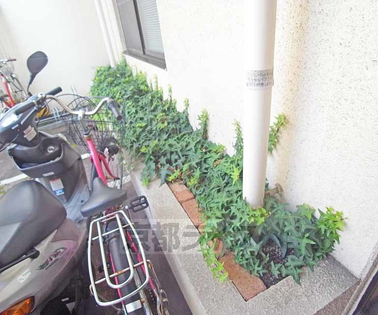 庭
