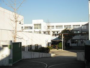 小学校　自由が丘小学校（小学校）まで810m