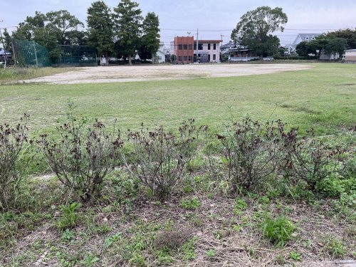 公園　北部中央公園（公園）まで500m