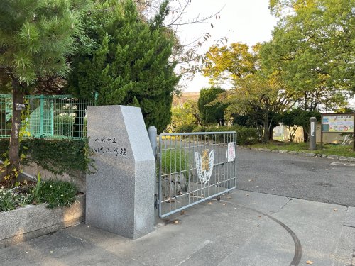 小学校　八代市立八代小学校（小学校）まで875m