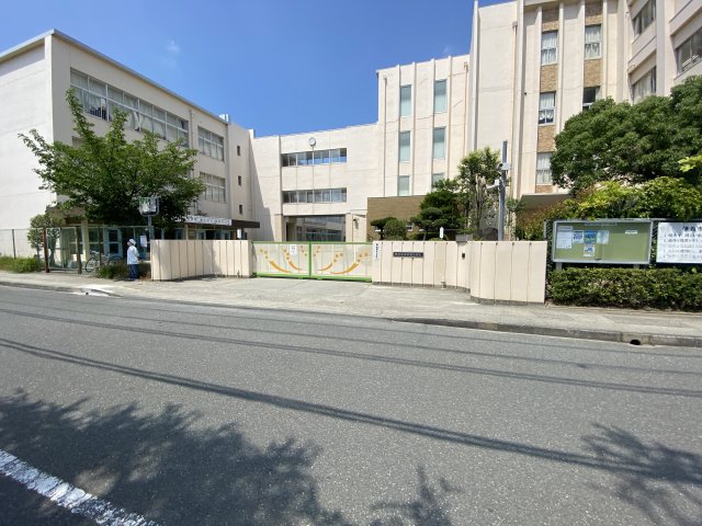 小学校　伊丹市立瑞穂小学校（小学校）まで981m