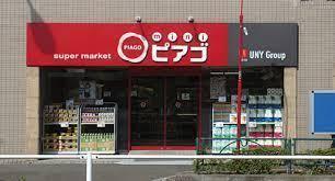 スーパー　miniピアゴ関口1丁目店（スーパー）まで1177m