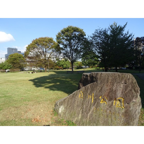 公園　白川公園（公園）まで615m