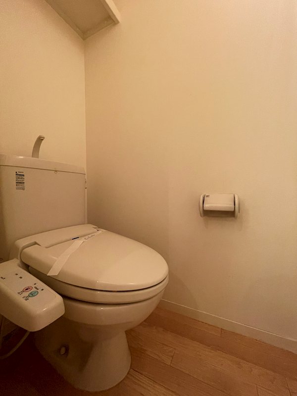 トイレ　トイレも気になるポイント