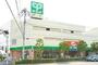 スーパー　サミット　滝野川紅葉橋店（スーパー）まで859m