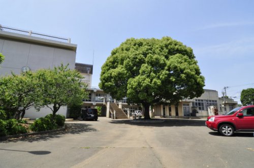小学校　嵐山町立菅谷小学校（小学校）まで669m