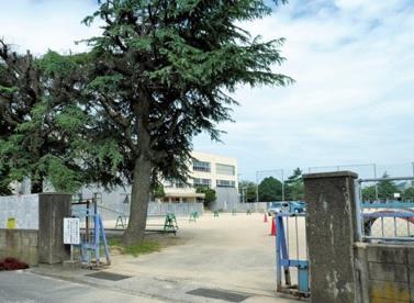 小学校　下関市立名陵小学校（小学校）まで706m