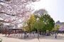 公園　桃谷公園（公園）まで651m