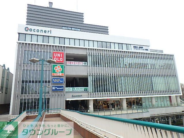 その他　Coconeri