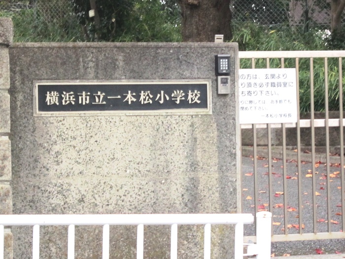 小学校　横浜市立一本松小学校（小学校）まで183m