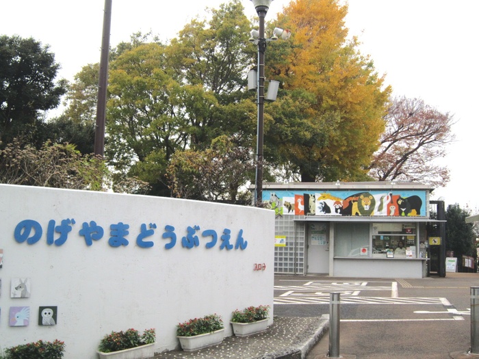 公園　横浜市立野毛山動物園（公園）まで800m