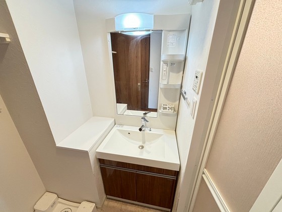 洗面設備　※別部屋の写真です
