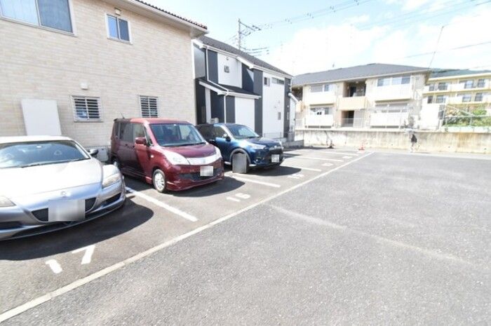 ひまわりのその他写真