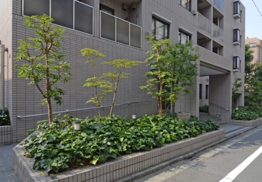 藤和シティホームズ代々木の外観写真