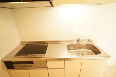 小田急線 鶴川駅 徒歩18分 2階建 築13年のキッチン写真