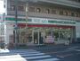 コンビニ　ローソンストア100 LS柏千代田店（コンビニ）まで497m