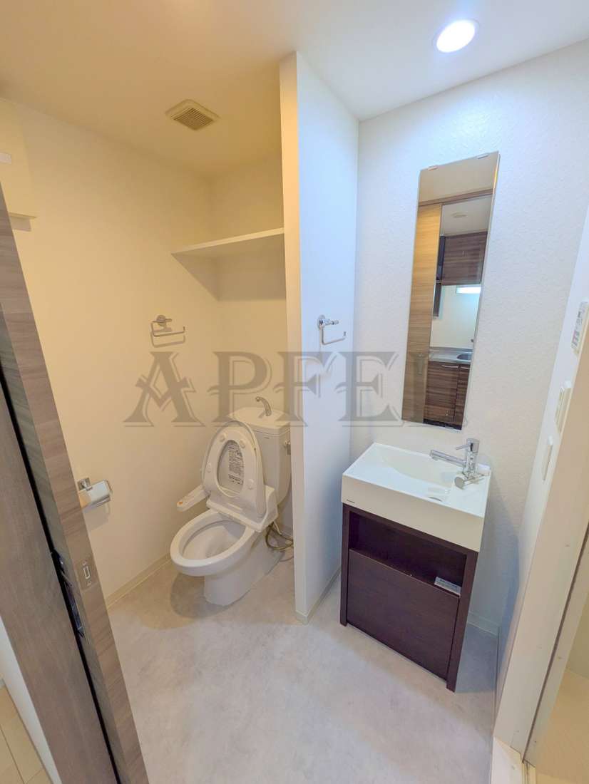 レジュールアッシュ南堀江のトイレ写真