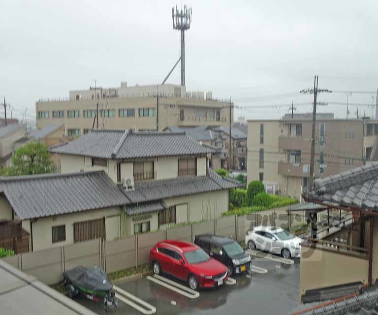 オーキッドのその他写真