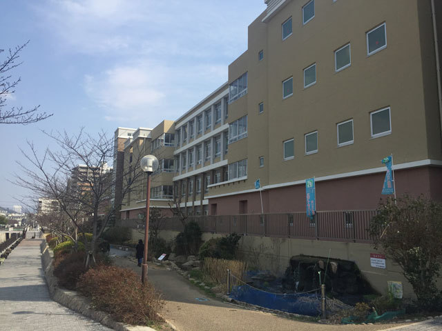 小学校　神戸市立夢野の丘小学校（小学校）まで968m